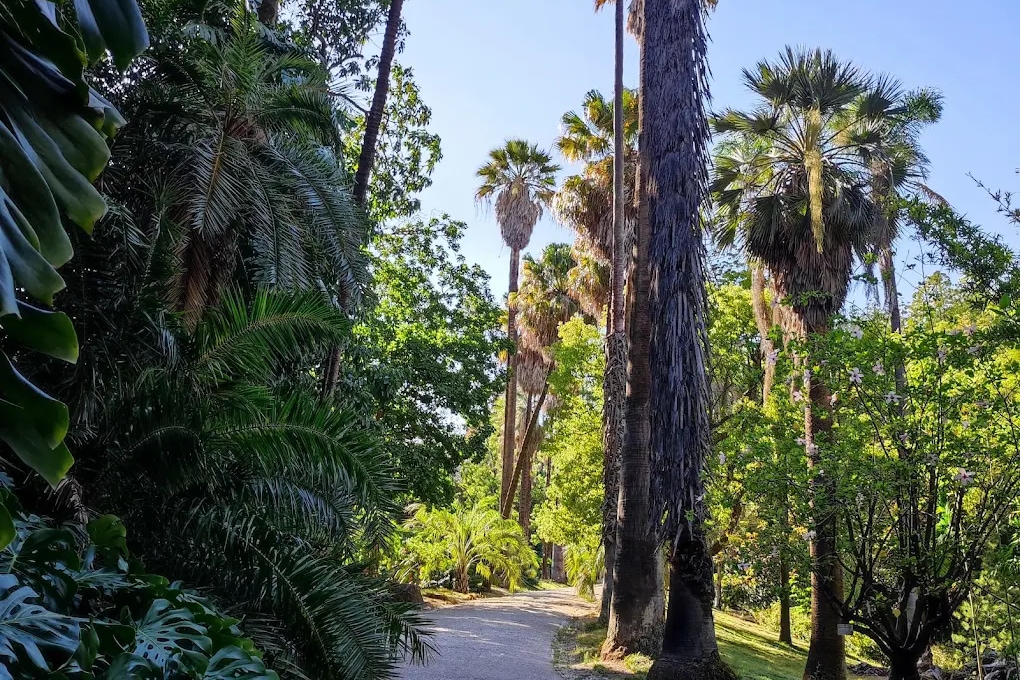 Ogród botaniczny