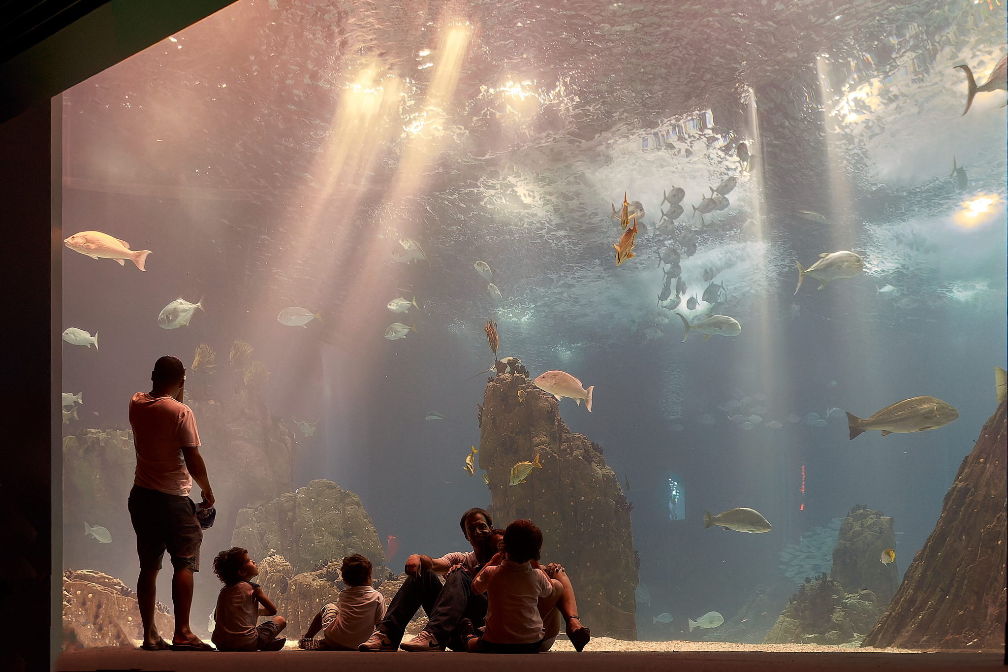 Oceanarium